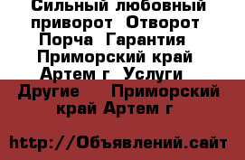 Сильный любовный приворот. Отворот. Порча. Гарантия - Приморский край, Артем г. Услуги » Другие   . Приморский край,Артем г.